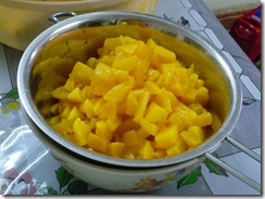 P1050065