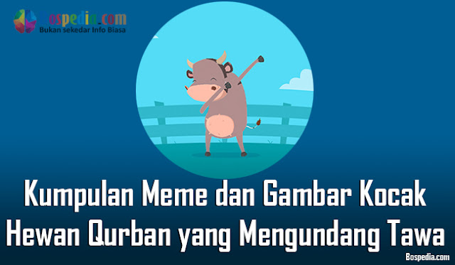 Kumpulan Meme Dan Gambar Kocak Binatang Qurban Yang Mengundang Tawa Terbaru 2018