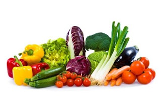 Vegetarian food blog, Vegetarian dog food, Vegetarian protein foods, Vegetarian food products, Vegetarian food studio,Vegetarian dog food recipes