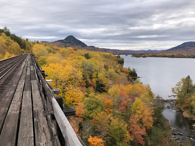 October 2022-Adam-Shaws-NETrail