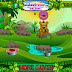 Free Flash Game - Jungle Cubs 2