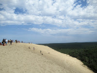 dune du pilat fai da te