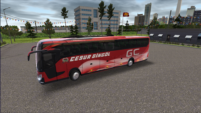 Cesur Bingöl Turizm Skin - Bus Simulator Ultimate Skin