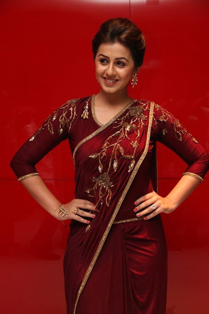 Nikki Galrani hot image gallery in saree