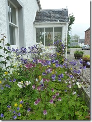 cromarty garden
