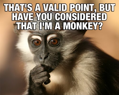 That's A Valid Point, But Have You Considered That I'm A Monkey