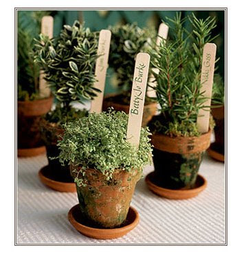 Adorable potted herb placecards photo via intimate weddings