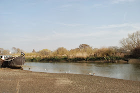 Best dog walks in West London: Part 2: Thames Tow Path Chiswick/ Hammersmith/ Barnes