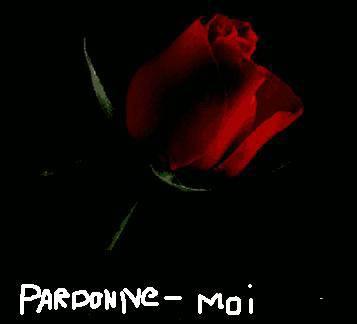 Poeme D Amour Et D Excuse