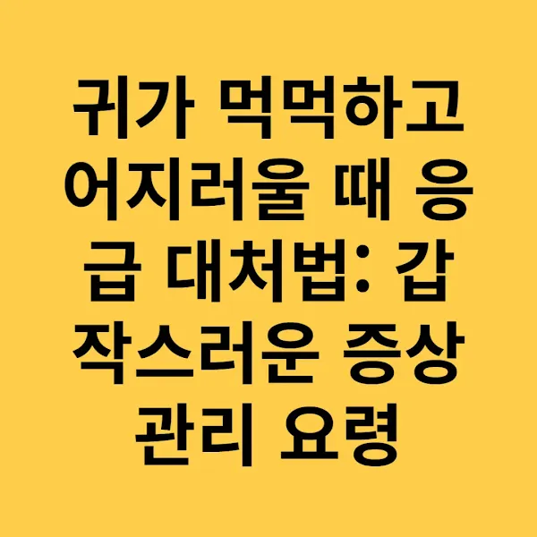 귀가 먹먹하고 어지러울 때 응급 대처법: 갑작스러운 증상 관리 요령