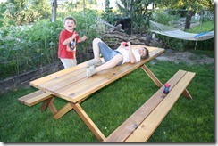 Picnic Table & yard 007
