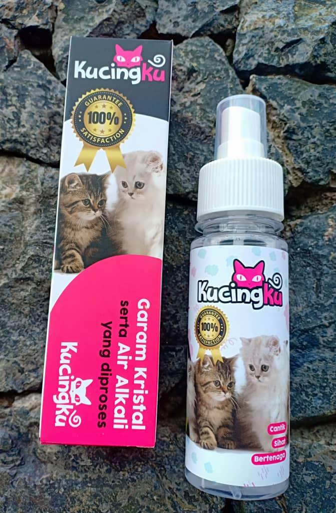 Untuk kucing anda, ini sebabnya perlu dapatkan produk 