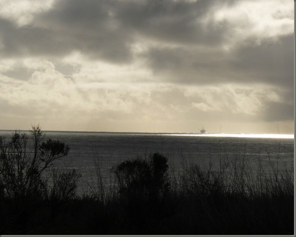 Hwy 101 (15)