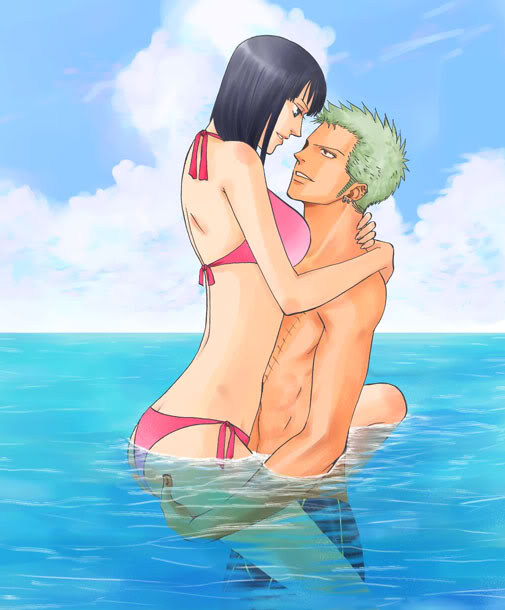 One Piece Zoro X Robin 1 by dq 001