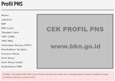 Cek Kenaikan Pangkat/Golongan PNS Periode April di www.bkn.go.id