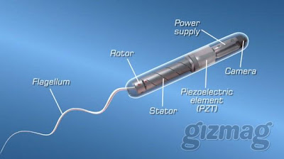 The Piezoelectric Motor Swim Through the Human Bloodstream to Dub the Proteus 