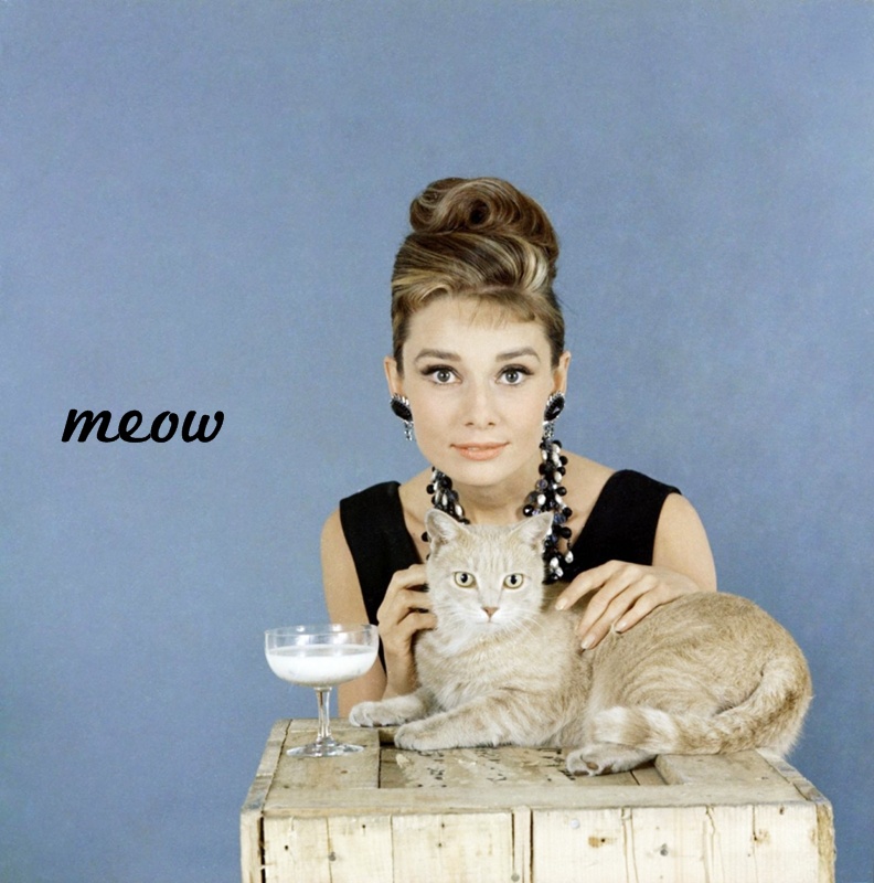 I scoured the web for photos of Audrey with cats It's what I do
