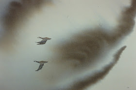 Canada Geese, Brechin Skies, Scotland - Watercolor by F. Lennox Campello, c. 1989