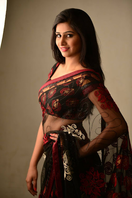 Shamil hot images in saree