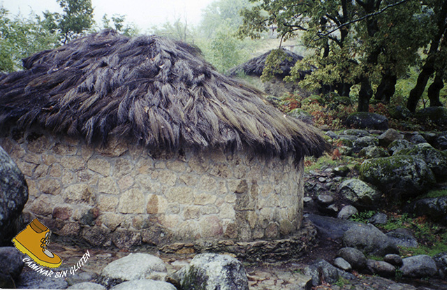 2000 CAMPAMENTO OTOÑO GUIJO DE SANTA BARBARA