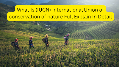 What Is (IUCN) International Union of conservation of nature Full Explain In Detail