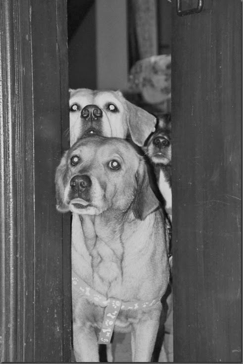 locked out 1