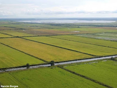 Rio Formoso, Formoso do Araguaia, Tocantins, Rio Formoso Tocantins, Formoso, seca, irrigação, Projeto Rio Formoso, Projeto Formoso, água, outorga, impacto ambiental, degradação ambiental, blog natureza e conservação, blog natureza, natureza, crise hídrica, produção de grãos