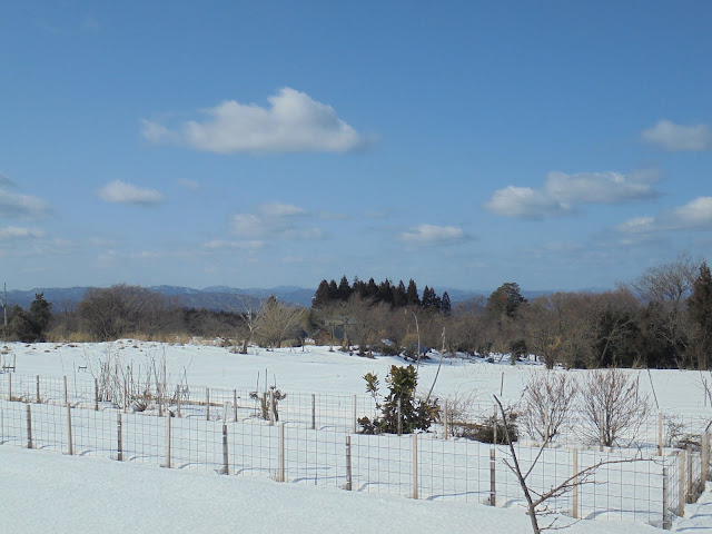 藍野公民館近くから公園の反対方向の畑の眺望