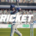 Cricket 19 PC Download