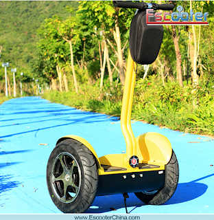 2 Wheel Stand-up Scooter Segway Electric Scooter