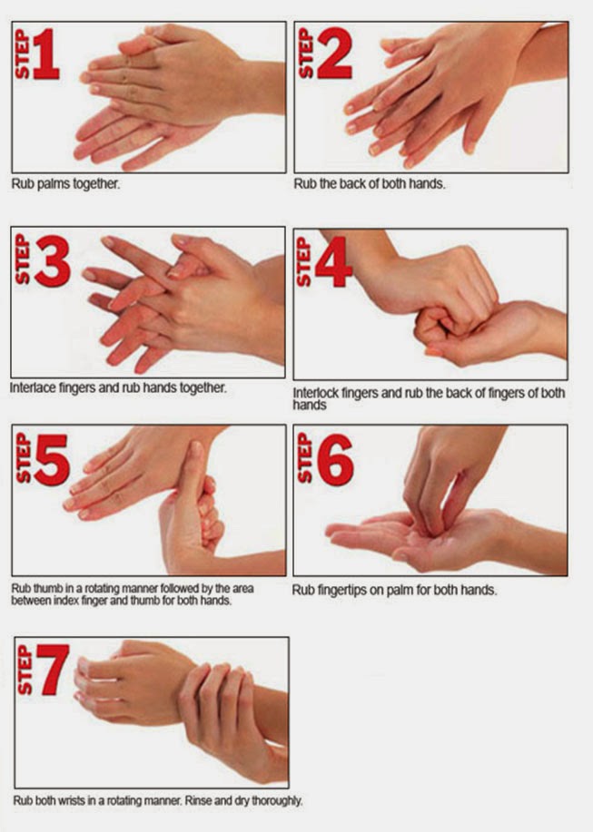  Gambar  Dunia Higienis 7 Langkah Mencuci Tangan  