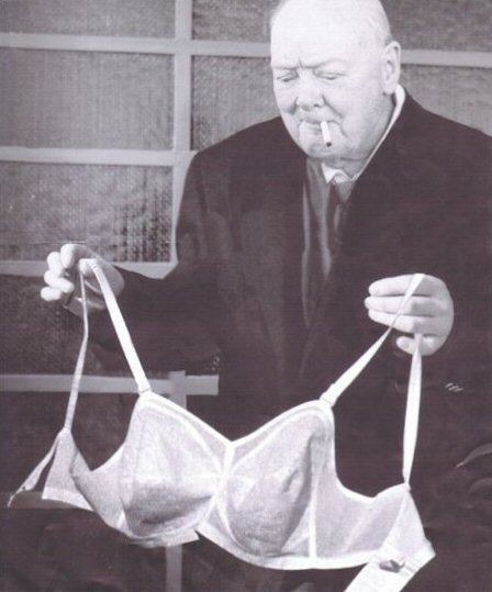 Winston's Bra