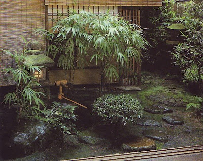 Japanese-Garden plants