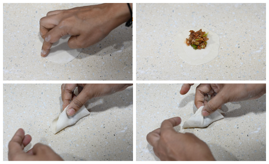 steps how to fold chicken wonton