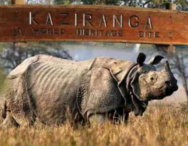 Kaziranga National Park ready to open for tourists