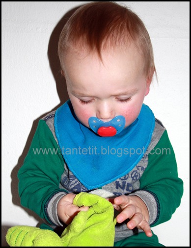 28. januar 2011 010