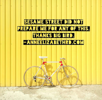 Weekly Wisdom by Anne Elizabeth RD: Sesame Street did prepare me for any of this. Thanks Big Bird