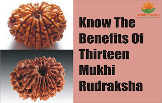 Know The Benefit Of Thirteen Mukhi Rudraksha