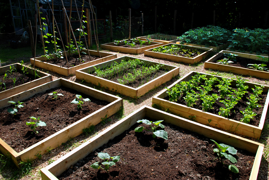 Home Gardening 101 Build the Perfect Garden 3 Basic 