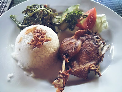 Bebek tepi sawah jogja