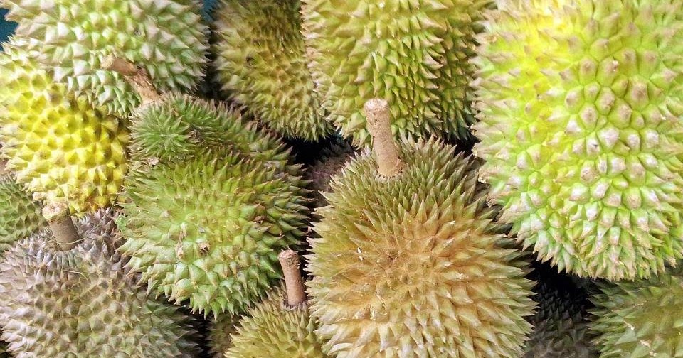 Adakah buah durian haram dijual mengikut sukatan kilogram 