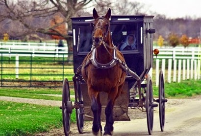 amish-buggy-500x339