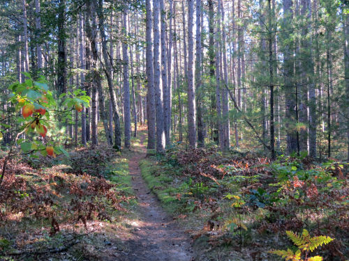 North Country Trail