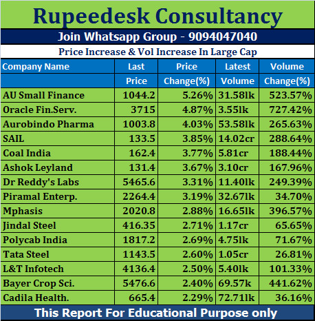 Price Increase & Vol Increase In Large Cap