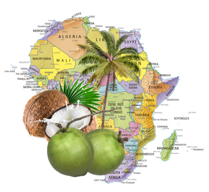 Importância da Cultura do Coco na África