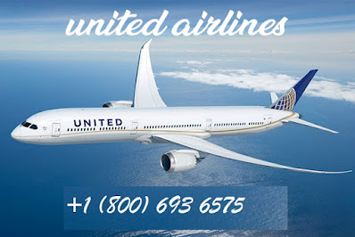 United Airlines 📞+1-800-693-6575 flight change 24 hours Number