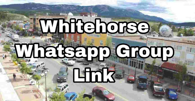 Whitehorse Whatsapp Group Link, Girls, Jobs, Business, News whatsapp Groups