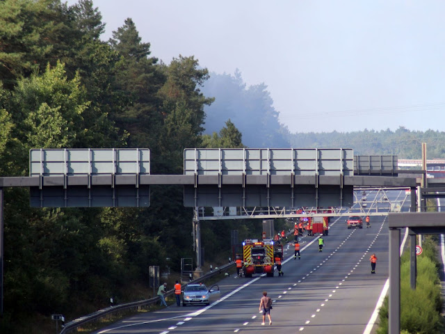 A motorway next to the forest had to be closed