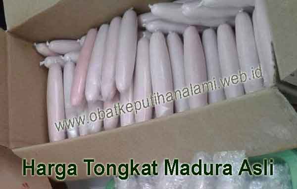 Harga Tongkat madura