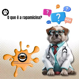 O que é a rapamicina